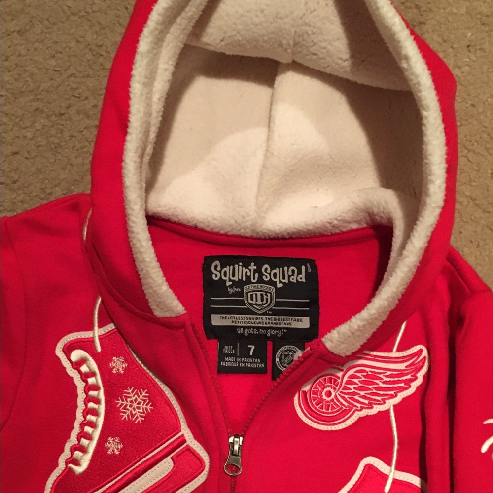Detroit Red Wing Fleece Lined Hoodie